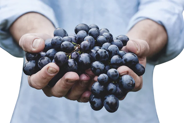 tithe and offerings image
