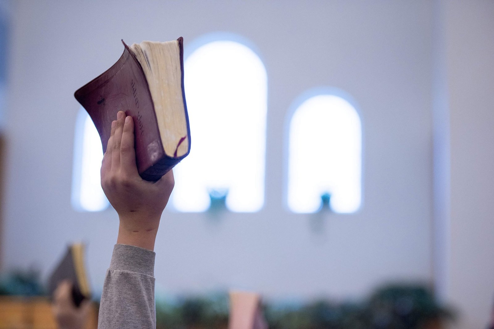 About-Hand Holding Bible