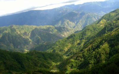 Episcopal Missions: The First Four Years (1977~1981)